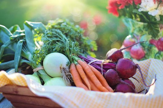 Vegetables fruits good for the heart patient हृदय रोग में भोजन : कौन-कौन से फल और सब्जियां खाएं 